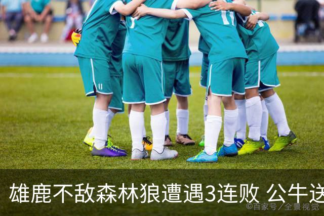 雄鹿不敌森林狼遭遇3连败 公牛送灰熊7连败